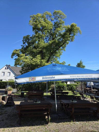 Unsere Linde